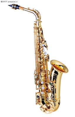 乐器世界的多样魅力 从西洋乐器指法到民族乐器的艺术图库