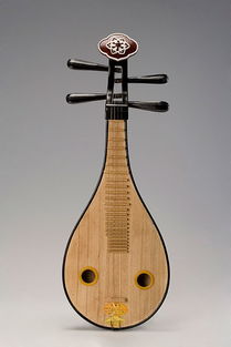 中华瑰宝 中国民族乐器的魅力与传承